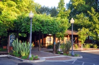 Camellia-Courtyard-Walkway.jpg