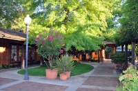 Camellia-Courtyard-center1.jpg