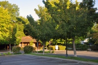 Camellia-Courtyard-lot2.jpg